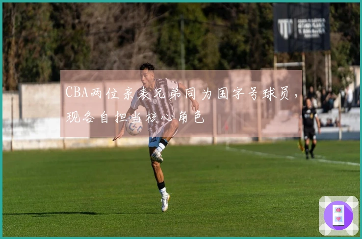 CBA两位亲表兄弟同为国字号球员，现各自担当核心角色