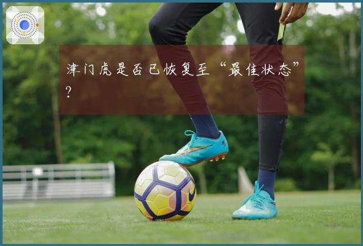 津门虎是否已恢复至“最佳状态”？